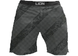 Lion Fightwear